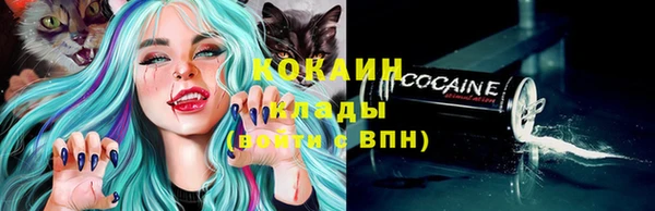 ешки Аркадак