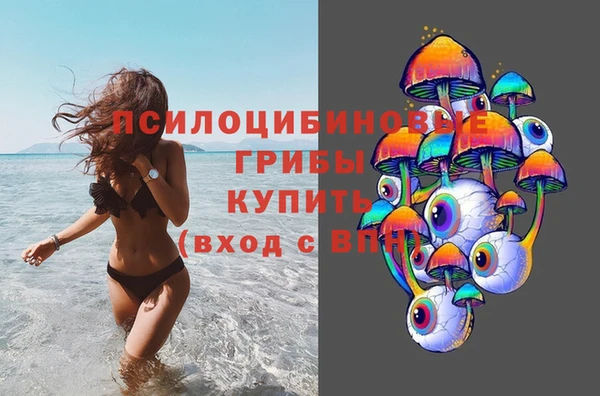 ешки Аркадак
