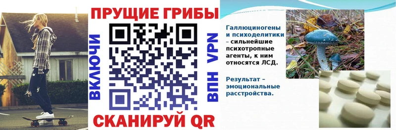mega ССЫЛКА  где можно купить   Ревда  Галлюциногенные грибы прущие грибы 